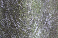 Halmer End fibreglass roof work